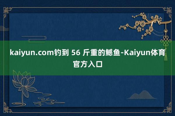 kaiyun.com钓到 56 斤重的鳡鱼-Kaiyun体育官方入口