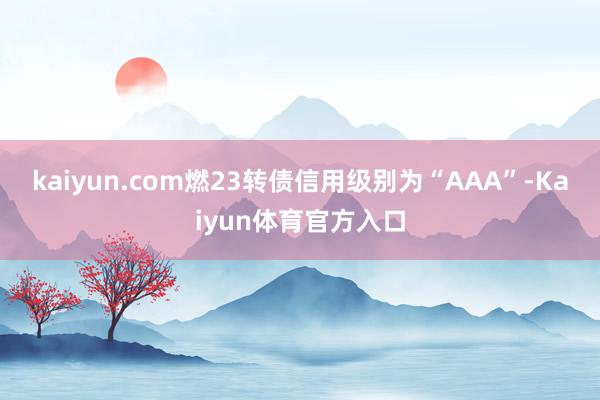 kaiyun.com燃23转债信用级别为“AAA”-Kaiyun体育官方入口