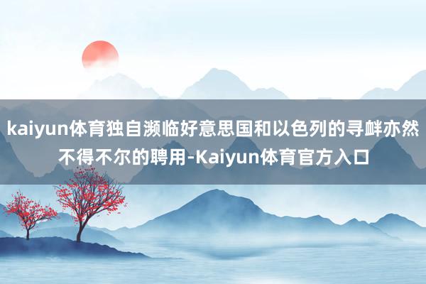 kaiyun体育独自濒临好意思国和以色列的寻衅亦然不得不尔的聘用-Kaiyun体育官方入口