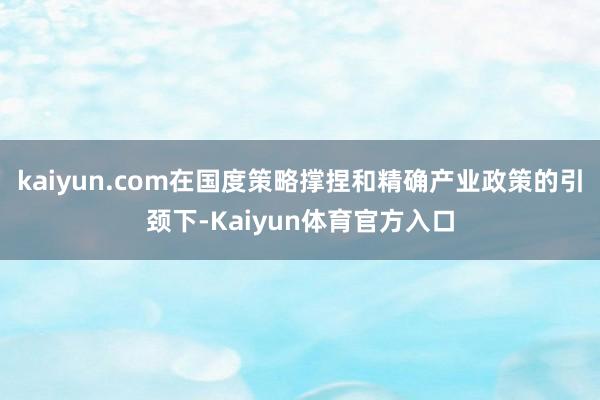 kaiyun.com在国度策略撑捏和精确产业政策的引颈下-Kaiyun体育官方入口